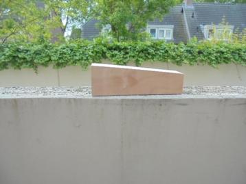 ratten en muizenvallen beschikbaar voor biedingen