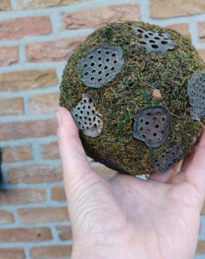 Gedroogde mosbollen, decoratie, bloemschikken, Huis en Inrichting, Woonaccessoires | Droogbloemen, Zo goed als nieuw, Ophalen of Verzenden