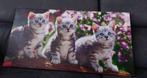 Canvas met drie kittens, Minder dan 50 cm, 75 tot 100 cm, Gebruikt, Ophalen of Verzenden