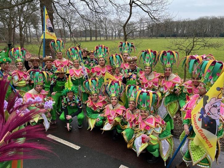 Carnaval kleding voor grote loopgroep (40 personen), Kleding | Dames, Carnavalskleding en Feestkleding, Zo goed als nieuw, Kleding