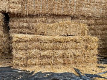 Kleine pakken stro in bundels beschikbaar voor biedingen