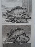 2 etsen tropische vissen nr 4 krab, Indonesië, Ambon 1724, Antiek en Kunst, Kunst | Etsen en Gravures, Verzenden