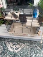Hamsterkooi t.e.a.b, Dieren en Toebehoren, Ophalen, Minder dan 75 cm, Kooi, Minder dan 60 cm