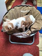 Opklapbare honden mantje gratis ophalen, Ophalen