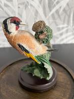 Putterbeeldje in stolp, Dieren en Toebehoren, Vogels | Overige Vogels, Mannelijk, Wildzangvogel