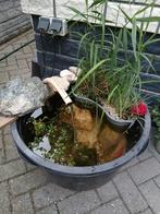 Vijver bak, Tuin en Terras, Vijvers, Ophalen, Zo goed als nieuw
