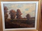 Landschap met bomen in lijst, Antiek en Kunst, Ophalen