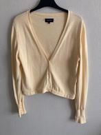 Vest, Ophalen of Verzenden, Zo goed als nieuw, Maat 38/40 (M)
