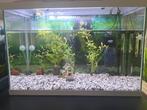 Superfish agarium 70 liter incl. garnalen algeneters, Dieren en Toebehoren, Ophalen, Gebruikt, Gevuld zoetwateraquarium