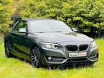 BMW 2-serie Cabrio 230i High Executive/Navi/Leder(Bij 2020), Automaat, 1998 cc, Achterwielaandrijving, Gebruikt
