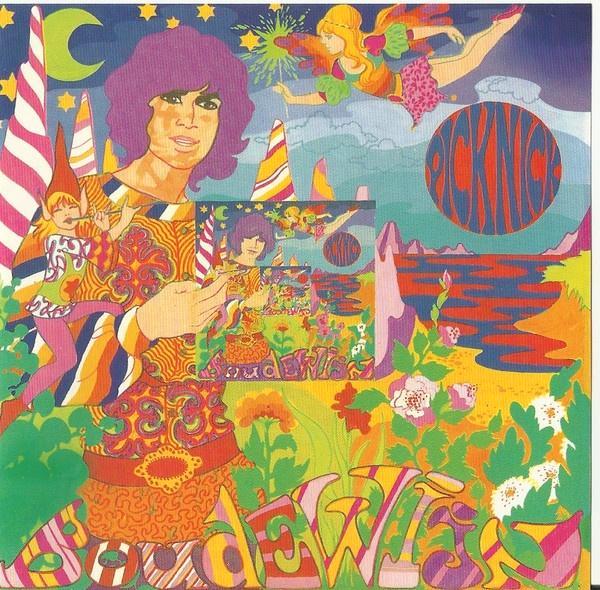 Boudewijn de groot – picknick cd 838 520-2 pdo, Cd's en Dvd's, Cd's | Rock, Zo goed als nieuw, Poprock, Verzenden