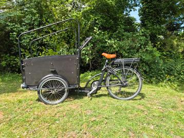 Troy Elektrische Bakfiets beschikbaar voor biedingen