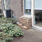 GRATIS circa 2m2 waaltjes, Ophalen of Verzenden, Gebruikt