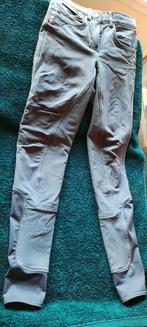 Verschillende gebruikte rijbroeken, verschillende maten..., Dieren en Toebehoren, Ophalen, Dames, Gebruikt, Onderkleding