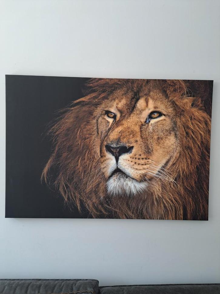 Canvas Schilderij Leeuw, Huis en Inrichting, Woonaccessoires | Schilderijen, Tekeningen en Foto's, Zo goed als nieuw, Schilderij