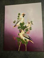Pestvogels, Dieren en Toebehoren, Tropenvogel