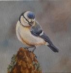 schilderij jonge pimpelmees 269 - origineel cadeau - vogel, Ophalen of Verzenden