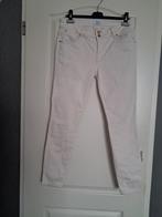Broek jeans DNM Pure Maat : 33 Kleur : creme, Overige kleuren, DNM Pure, Ophalen of Verzenden, Zo goed als nieuw
