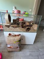 Terrarium Hamster, Minder dan 60 cm, Ophalen of Verzenden, Zo goed als nieuw, Hok