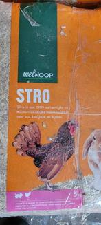 Stro in 2 pakken ongeveer 9 kg, Ophalen, Nieuw, Verzorging