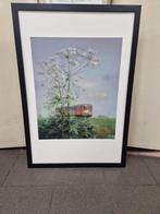 Rein Pol de blauwe engel lente, Ophalen of Verzenden, 75 cm of meer, 50 tot 75 cm, Print