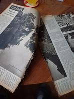 Artikel over Naaldwijk 1950, Verzamelen, Tijdschriften, Kranten en Knipsels, Ophalen of Verzenden