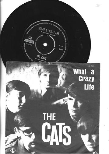 THE CATS SINGLE 7" WHAT A CRAZY LIFE - 1966 beschikbaar voor biedingen