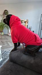 Hoodie voor Engelse Stafford Bull Terriër, Ophalen of Verzenden, Nieuw