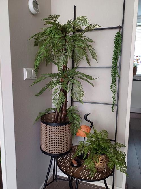 Prachtige kunstplant nieuw, Huis en Inrichting, Woonaccessoires | Kunstplanten en Kunstbloemen, Nieuw, Binnen, Buiten, Ophalen of Verzenden