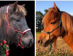 Op maat gemaakt touwhalster met neusstuk, Dieren en Toebehoren, Paarden en Pony's | Hoofdstellen en Tuigage, Nieuw, Overige soorten