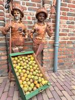 Stoofperen 7kg onbespoten, Diversen, Levensmiddelen, Ophalen of Verzenden