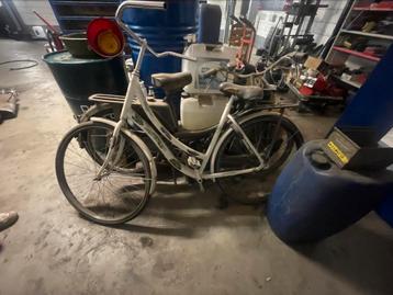 Koeien fiets beschikbaar voor biedingen