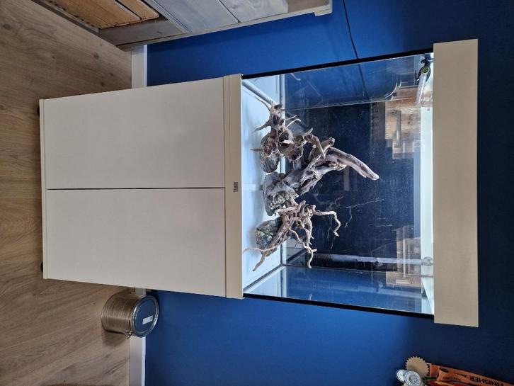 Aquarium juwel, Dieren en Toebehoren, Vissen | Aquaria en Toebehoren, Gebruikt, Leeg aquarium, Ophalen