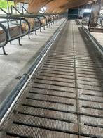 Knieboom buis/ pvc dikwandig, Ophalen