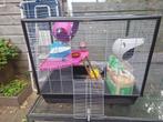 Ratten kooi met toebehoren, Dieren en Toebehoren, Ophalen of Verzenden, Gebruikt, 75 tot 110 cm, Kooi
