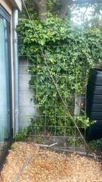 Raster tuin 114x178, Ophalen, Zo goed als nieuw, Overige typen