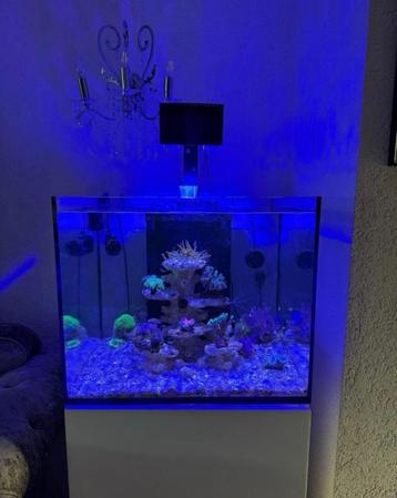 red sea aquarium kappen reefled 50, reefled 90 en veel meer  beschikbaar voor biedingen