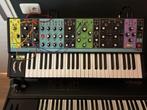 Moog Matriarch, Muziek en Instrumenten, Nieuw, Met midi-aansluiting, Ophalen, 49 toetsen