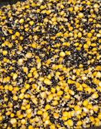 Hennep Mais 2,00 per kilo, Watersport en Boten, Hengelsport | Karpervissen, Ophalen of Verzenden, Nieuw, Overige typen