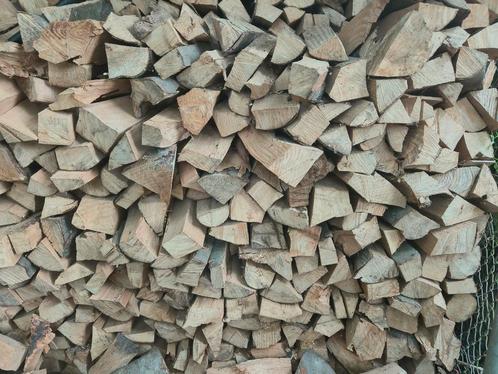 100% Haagbeuk haardhout, Tuin en Terras, Haardhout, Blokken, Overige houtsoorten, Minder dan 3 m³, Ophalen of Verzenden