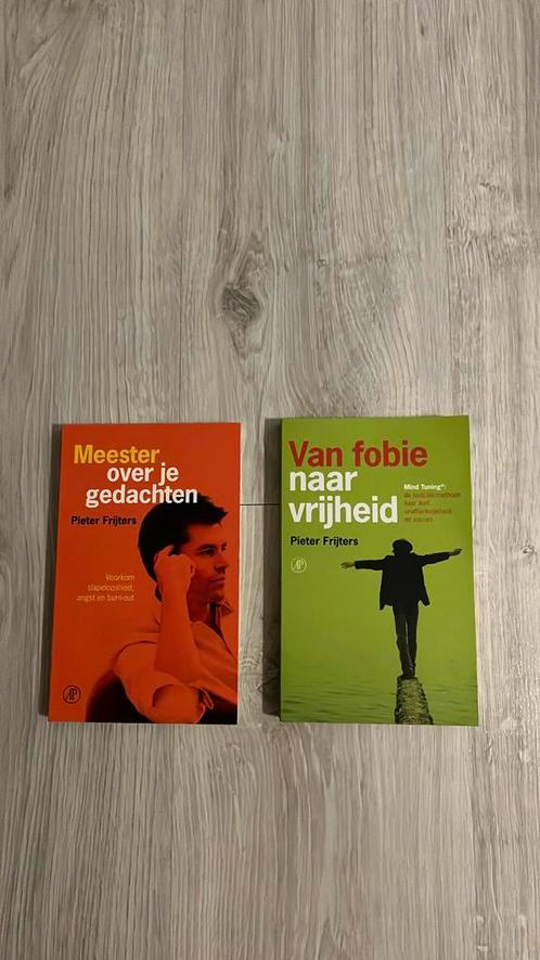 Pieter Frijters - Meester over je gedachten, Boeken, Psychologie, Zo goed als nieuw, Ophalen of Verzenden