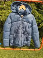Raizzed winterjas maat 176, Ophalen of Verzenden, Zo goed als nieuw, Meisje, Jas