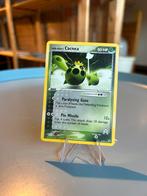 Cacnea 24/95 – EX Team Magma vs Team Aqua, Hobby en Vrije tijd, Verzamelkaartspellen | Pokémon, Ophalen of Verzenden, Zo goed als nieuw