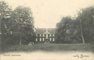 (378-319-037) Hattem Kasteel Molenkate beschikbaar voor biedingen