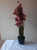 Orchidee kunstplant merk Mica hoogte 70 cm, Ophalen of Verzenden, Nieuw