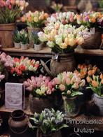 Prachtige kunsttulpen | Pimpskuorke Ureterp, Ophalen, Nieuw