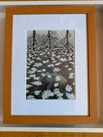 6x MC Esher ingelijste replica’s, Antiek en Kunst, Ophalen