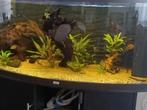 Jewel aquarium, Dieren en Toebehoren, Vissen | Aquaria en Toebehoren, Ophalen, Gebruikt, Gevuld zoetwateraquarium