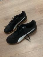 Nieuwe puma zaalvoetbalschoenen maat 42, Kleding | Heren, Schoenen, Puma, Nieuw, Ophalen of Verzenden, Sportschoenen
