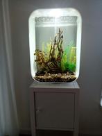 biOrb Life 60L Wit aquarium, Ophalen, Gebruikt